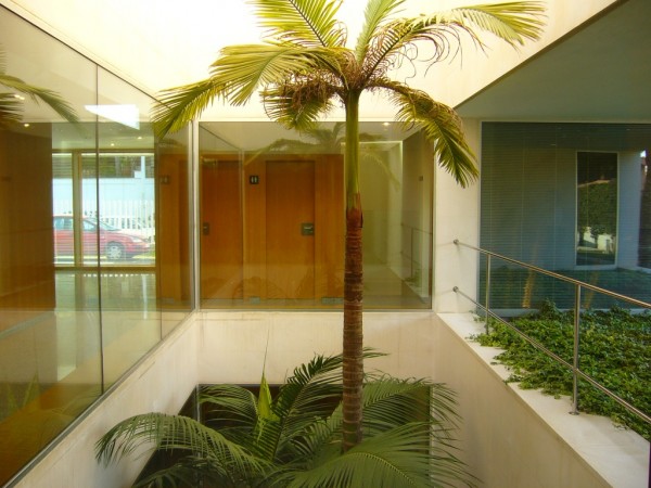 Instituto Bernabeu Biotech