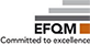 efqm